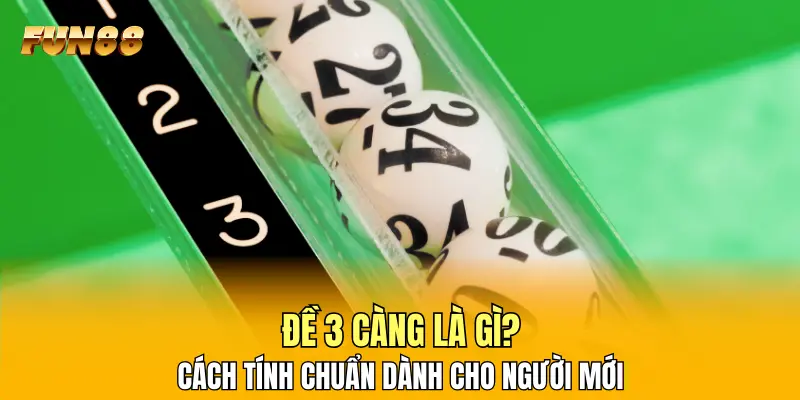 Đề 3 Càng Là Gì? Cách Tính Chuẩn Dành Cho Người Mới