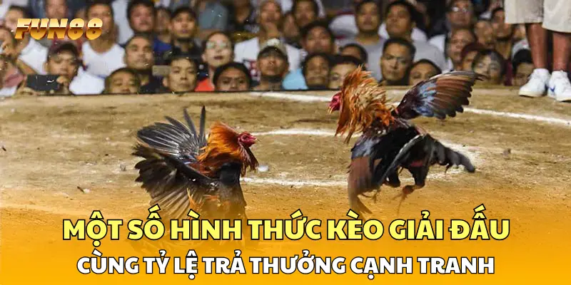 Một số hình thức kèo giải đấu cùng tỷ lệ trả thưởng cạnh tranh 